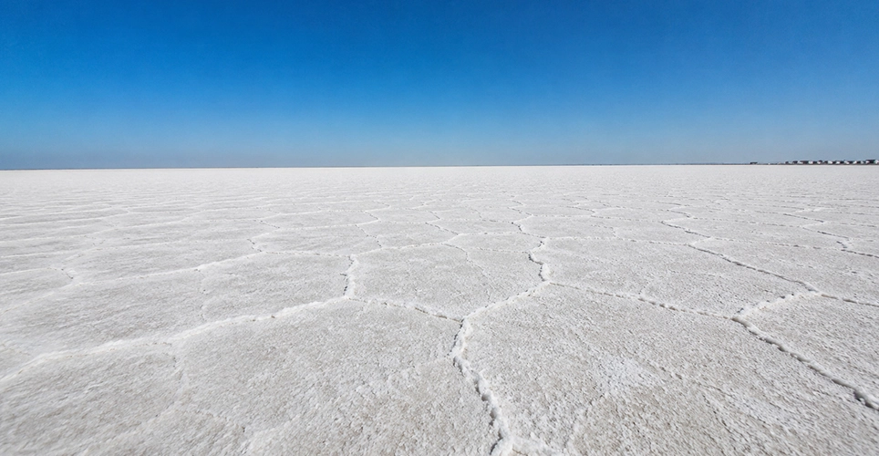 White Rann of Kutch